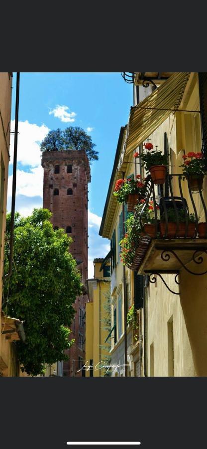 Casa Luba Hotel Lucca Luaran gambar